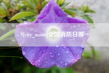 潮州全国消防日哪一