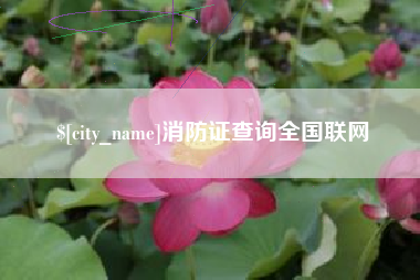 潮州消防证查询全国联网