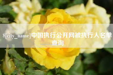 潮州中国执行公开网被执行人名单查询