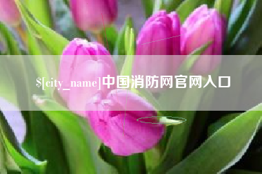 潮州中国消防网官网入口