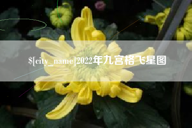 潮州2022年九宫格飞星图