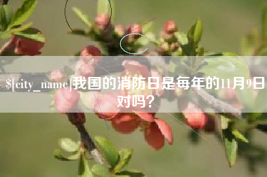 潮州我国的消防日是每年的11月9日对吗？