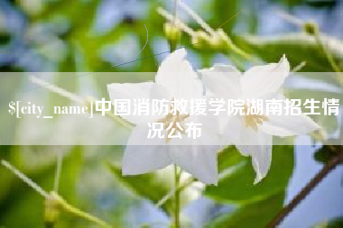 潮州中国消防救援学院湖南招生情况公布