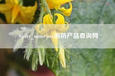 潮州ccc消防产品查询网