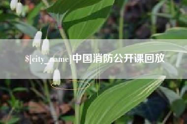 潮州中国消防公开课回放