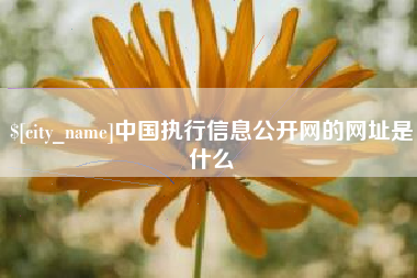 潮州中国执行信息公开网的网址是什么
