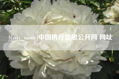 潮州中国执行信息公开网 网址