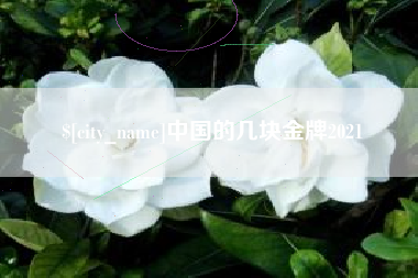 潮州中国的几块金牌2021