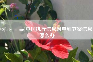潮州中国执行信息网查到立案信息怎么办