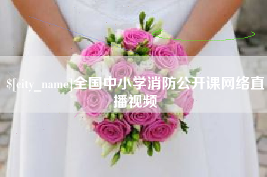 潮州全国中小学消防公开课网络直播视频