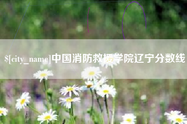潮州中国消防救援学院辽宁分数线