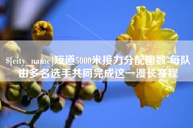 潮州短道5000米接力分配圈数-每队由多名选手共同完成这一漫长赛程