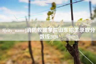 潮州消防救援学院山东招生录取分数线2020