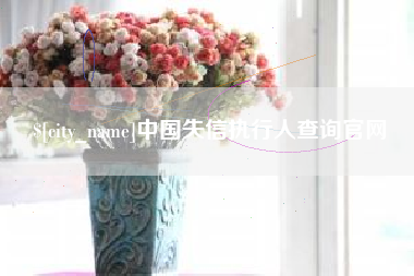 潮州中国失信执行人查询官网