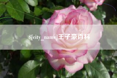 潮州王子豪百科