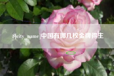 潮州中国有哪几枚金牌得主
