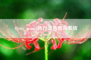 潮州执行公告查询系统