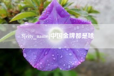 潮州中国金牌都是啥