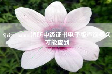 潮州消防中级证书电子版查询多久才能查到