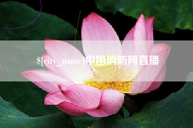 潮州中国消防网直播