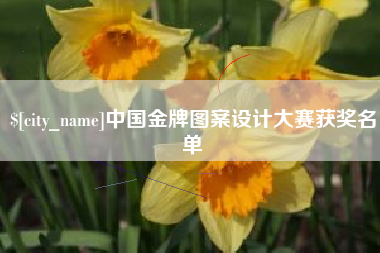潮州中国金牌图案设计大赛获奖名单