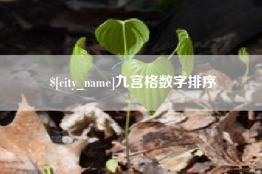 潮州九宫格数字排序