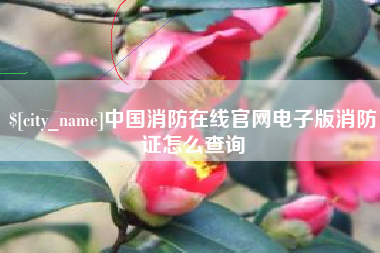 潮州中国消防在线官网电子版消防证怎么查询