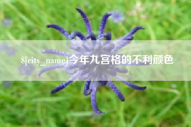 潮州今年九宫格的不利颜色