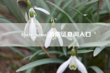 潮州消防证查询入口