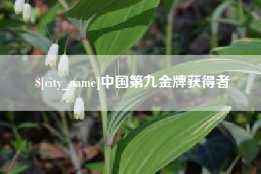 潮州中国第九金牌获得者