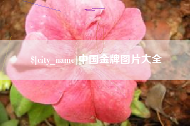 潮州中国金牌图片大全