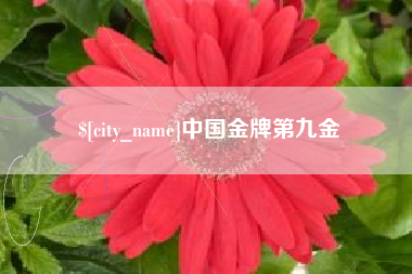 潮州中国金牌第九金