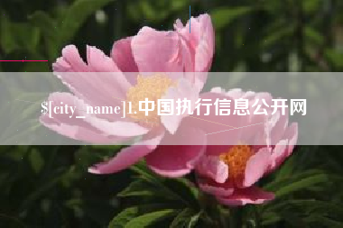 潮州1.中国执行信息公开网