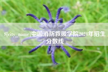 潮州中国消防救援学院2024年招生分数线