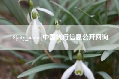 潮州中国执行信息公开网询