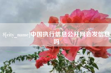 潮州中国执行信息公开网会发信息吗