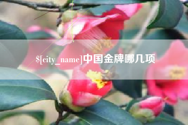 潮州中国金牌哪几项