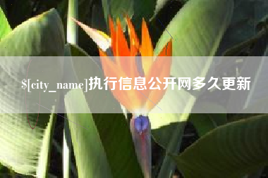 潮州执行信息公开网多久更新