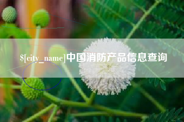潮州中国消防产品信息查询