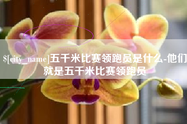潮州五千米比赛领跑员是什么-他们就是五千米比赛领跑员