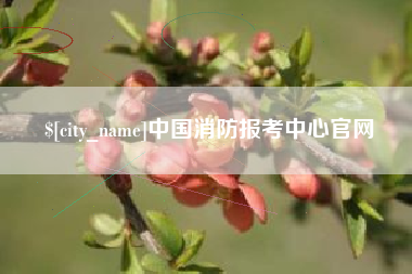 潮州中国消防报考中心官网