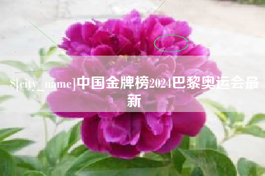 潮州中国金牌榜2024巴黎奥运会最新