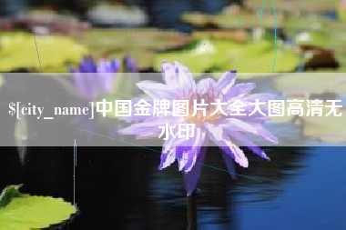 潮州中国金牌图片大全大图高清无水印