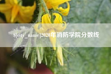 潮州2020年消防学院分数线