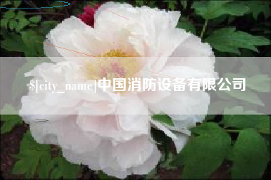 潮州中国消防设备有限公司