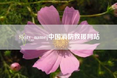 潮州中国消防救援网站