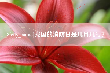 潮州我国的消防日是几月几号？