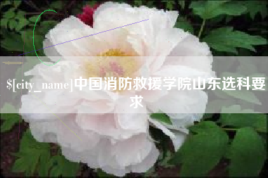 潮州中国消防救援学院山东选科要求