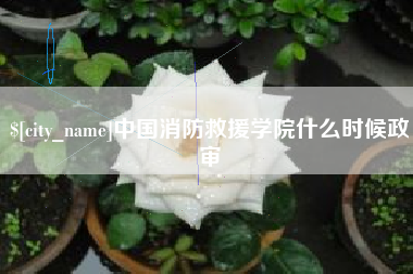 潮州中国消防救援学院什么时候政审