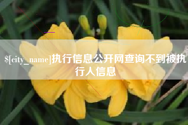 潮州执行信息公开网查询不到被执行人信息